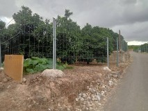 Foto10