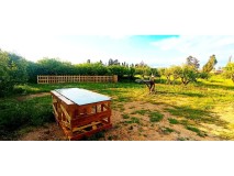 Foto17