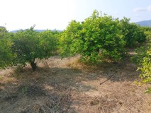 Foto12