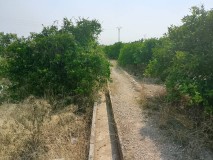 Foto6