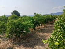 Foto10