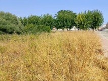 Foto7