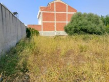 Foto4