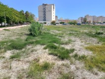 Foto6