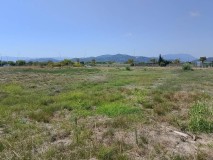 Foto13
