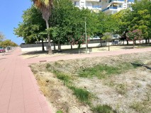 Foto5