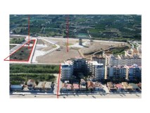 Foto6