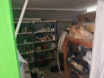 Foto8