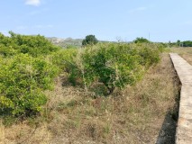 Foto6