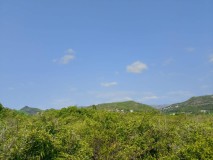 Foto8