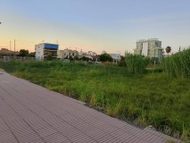 Foto9