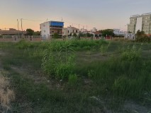 Foto7