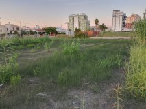 Foto6