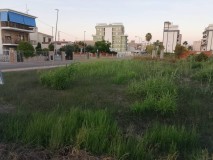 Foto3