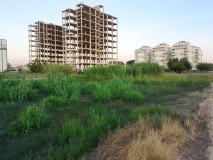 Foto5