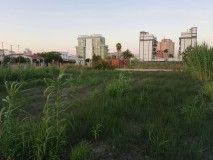 Foto8