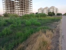 Foto4