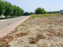 Foto5