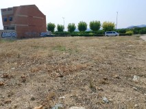 Foto8