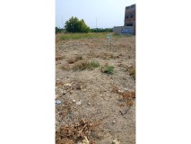 Foto7
