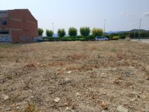 Foto6