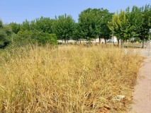Foto5