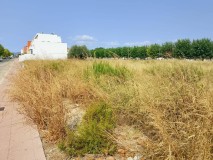 Foto4