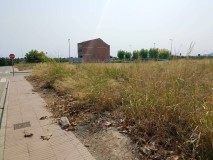Foto5