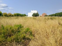 Foto3