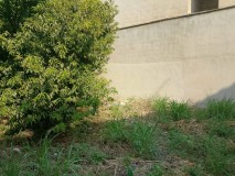 Foto5