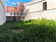 Foto11