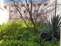 Foto12