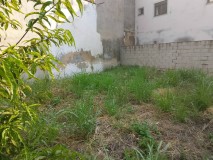 Foto6