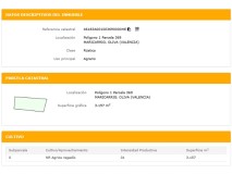 Foto6