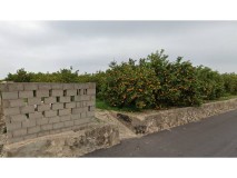 Foto5