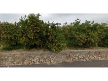 Foto4