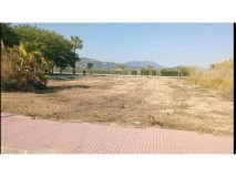 Foto5