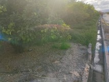 Foto6