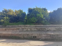 Foto4