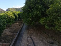 Foto8