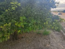 Foto7