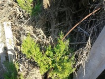 Foto5