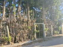 Foto4