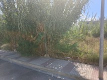 Foto5