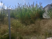Foto9