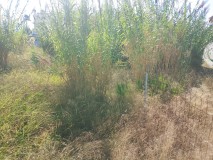 Foto6