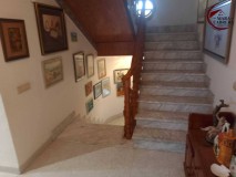 Foto5