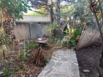 Foto42