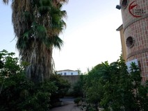 Foto50