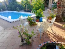 Foto16